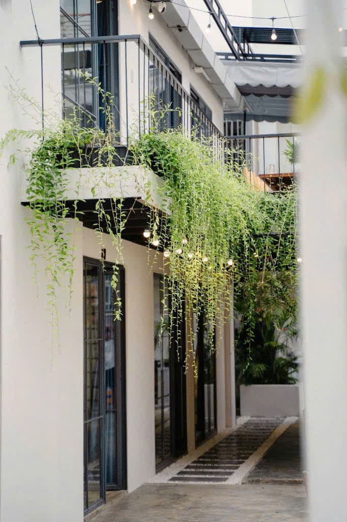 Center · Tran Phu 3 photo