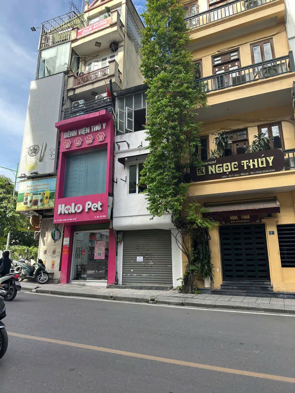 Hanoi Ba Dinh · Dong Da photo 1
