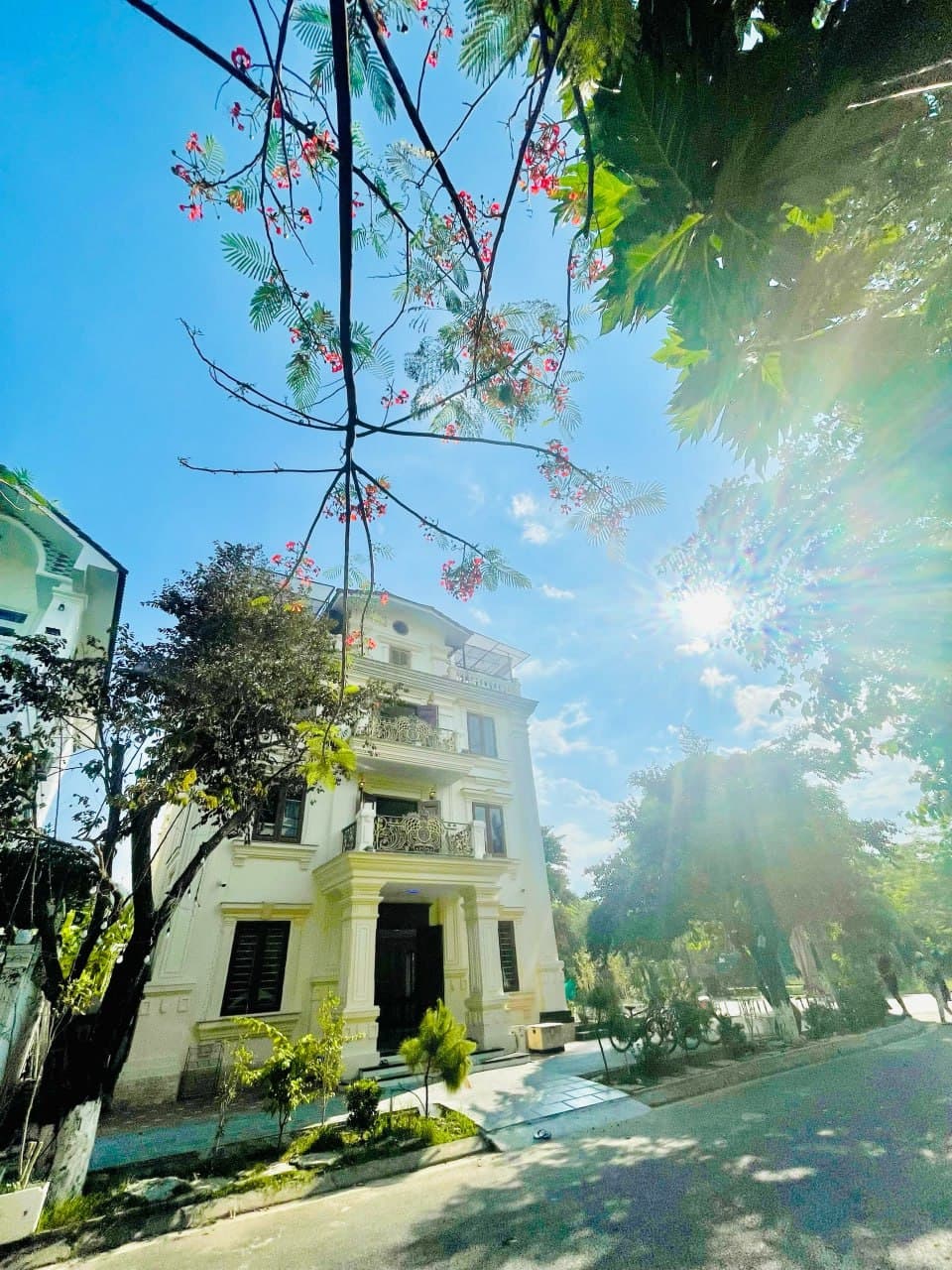 South · An Vien 5 photo