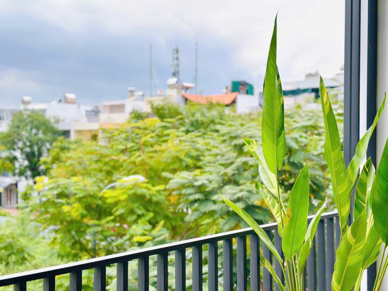 Center · Tran Phu 7 photo