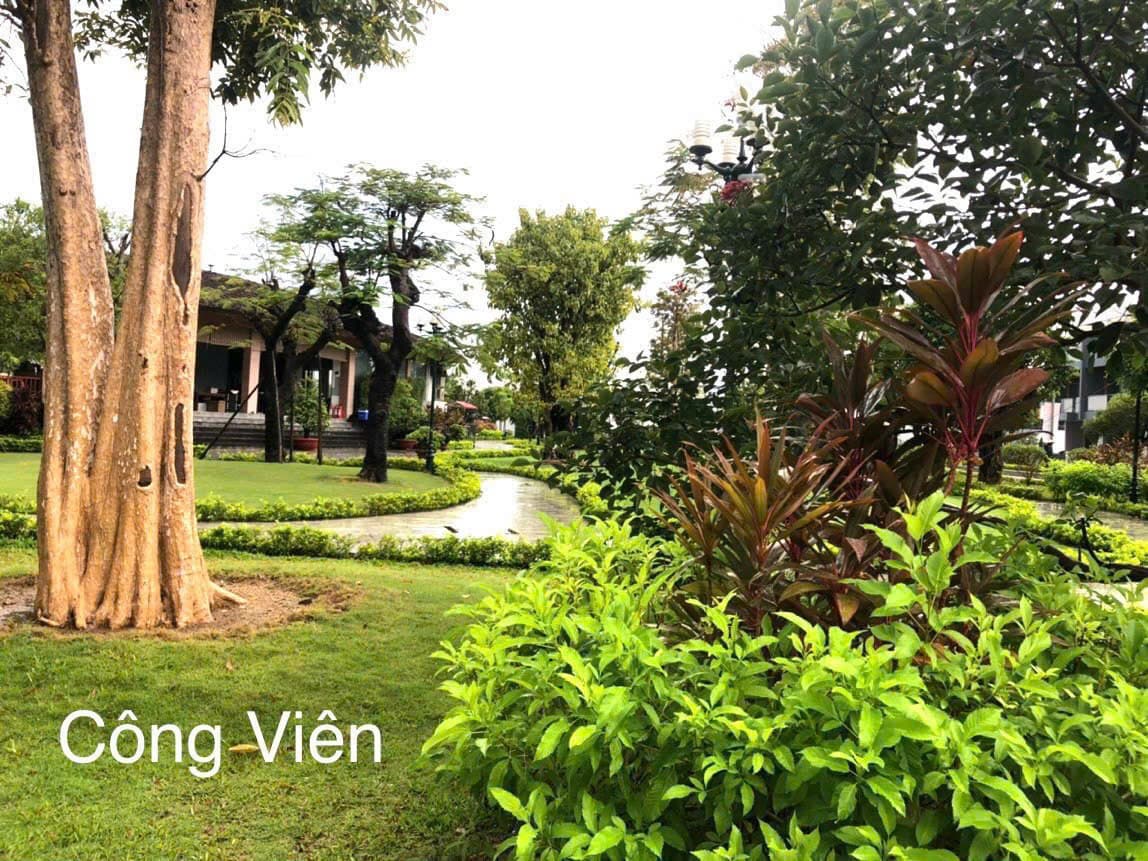 Vinh Diem Trung · VCN 13 photo